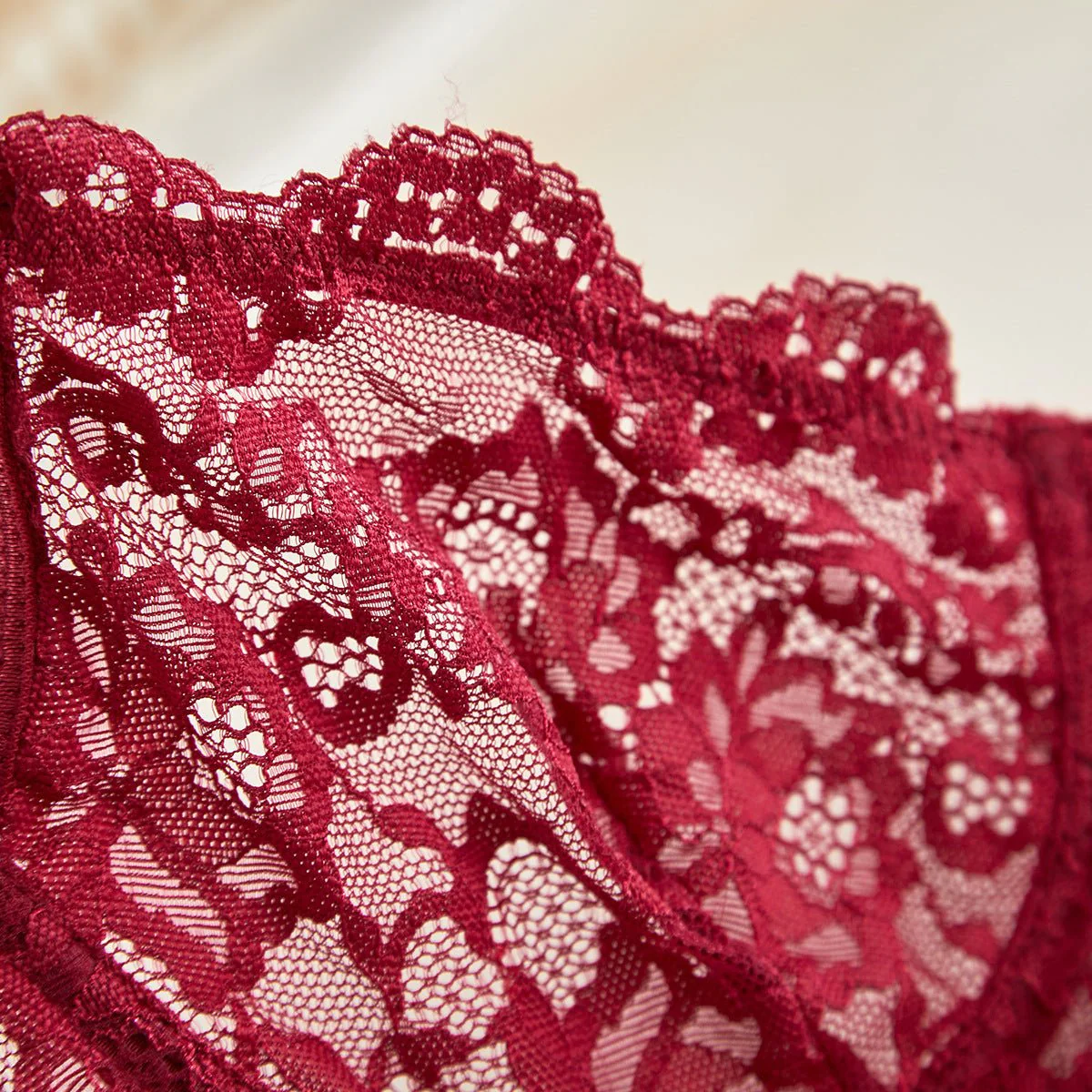 Suspender Tease | Lace Perspective Alluring Lingerie Bra Set - Image 41
