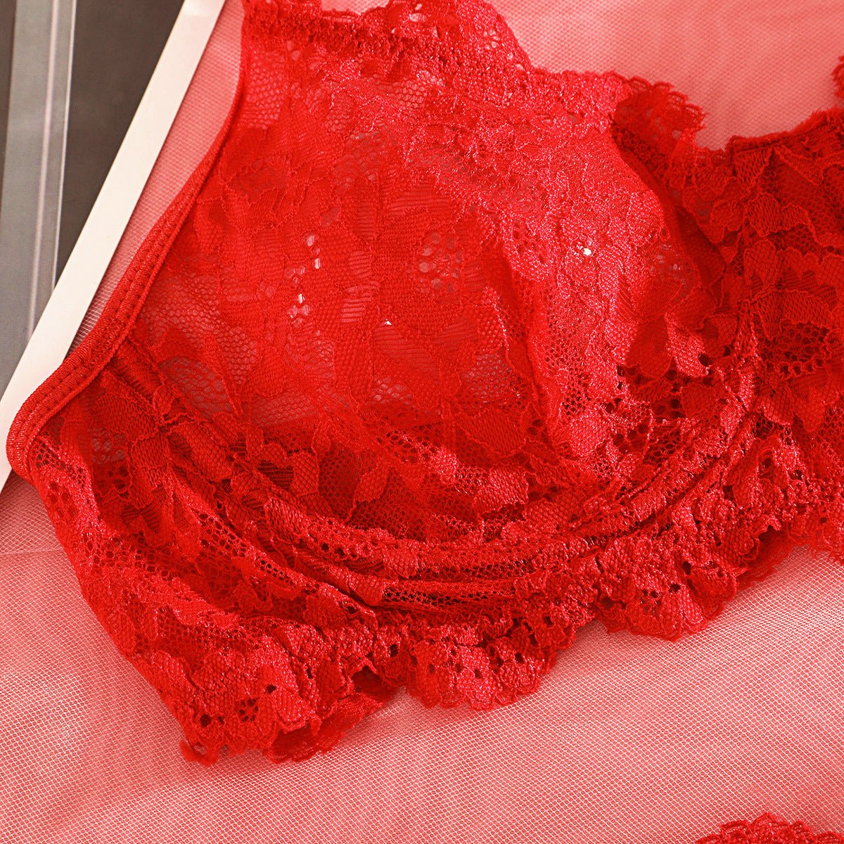 Suspender Tease | Lace Perspective Alluring Lingerie Bra Set - Image 69