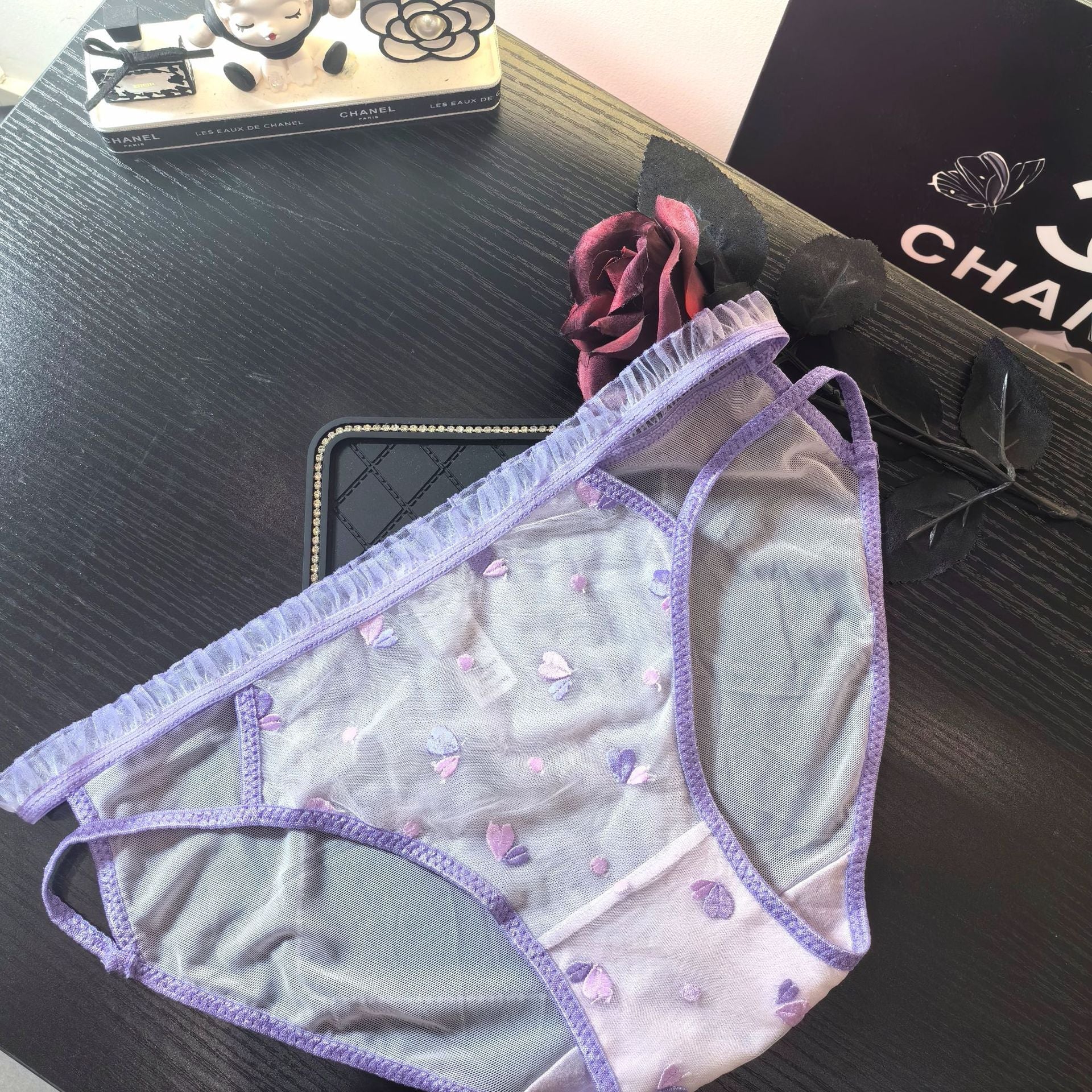 The Delicate Charm | Embroidered Lace Low-Rise Panties - Image 2