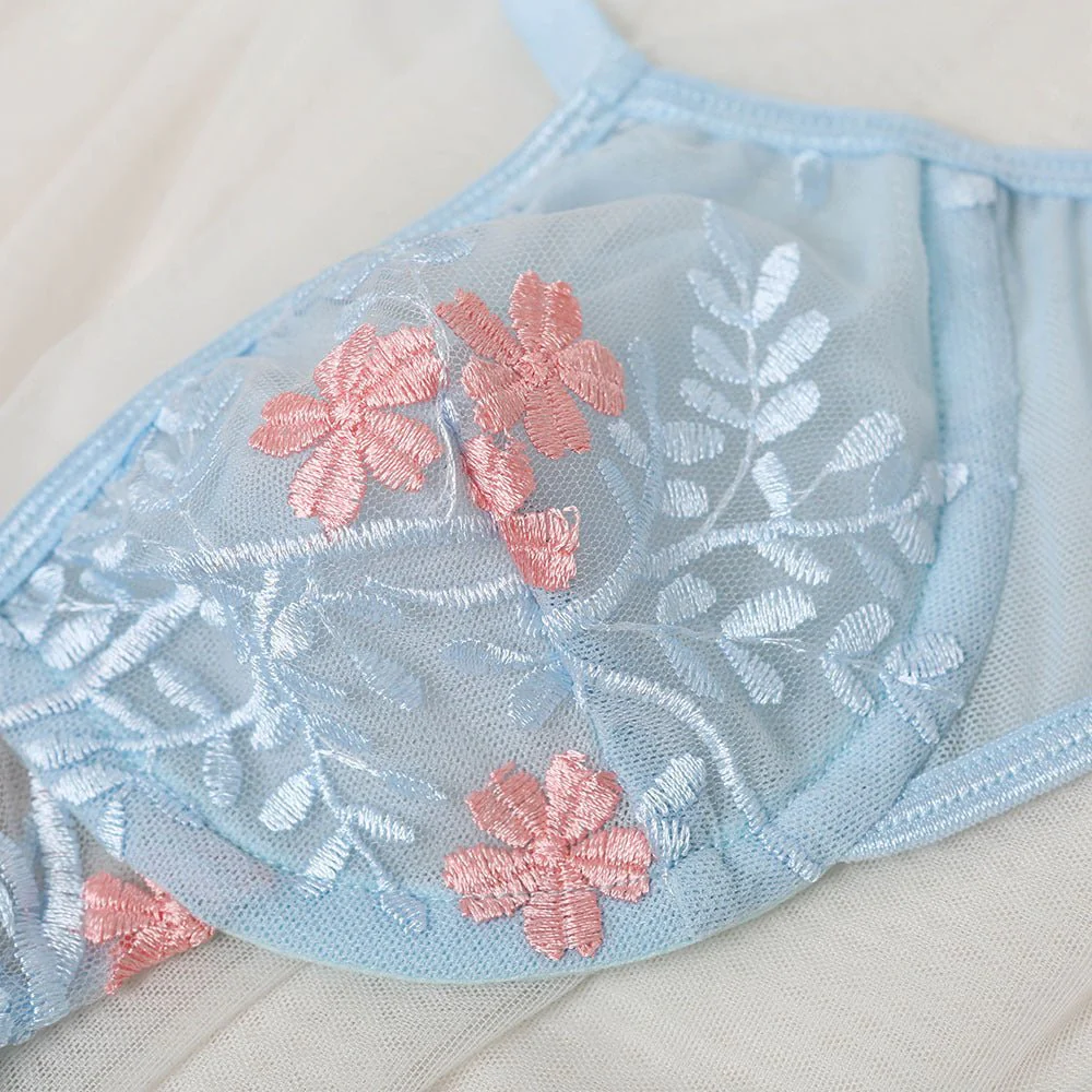 The Dreamy Breeze | Transparent Mesh Two-Piece Underwear Set - Image 11