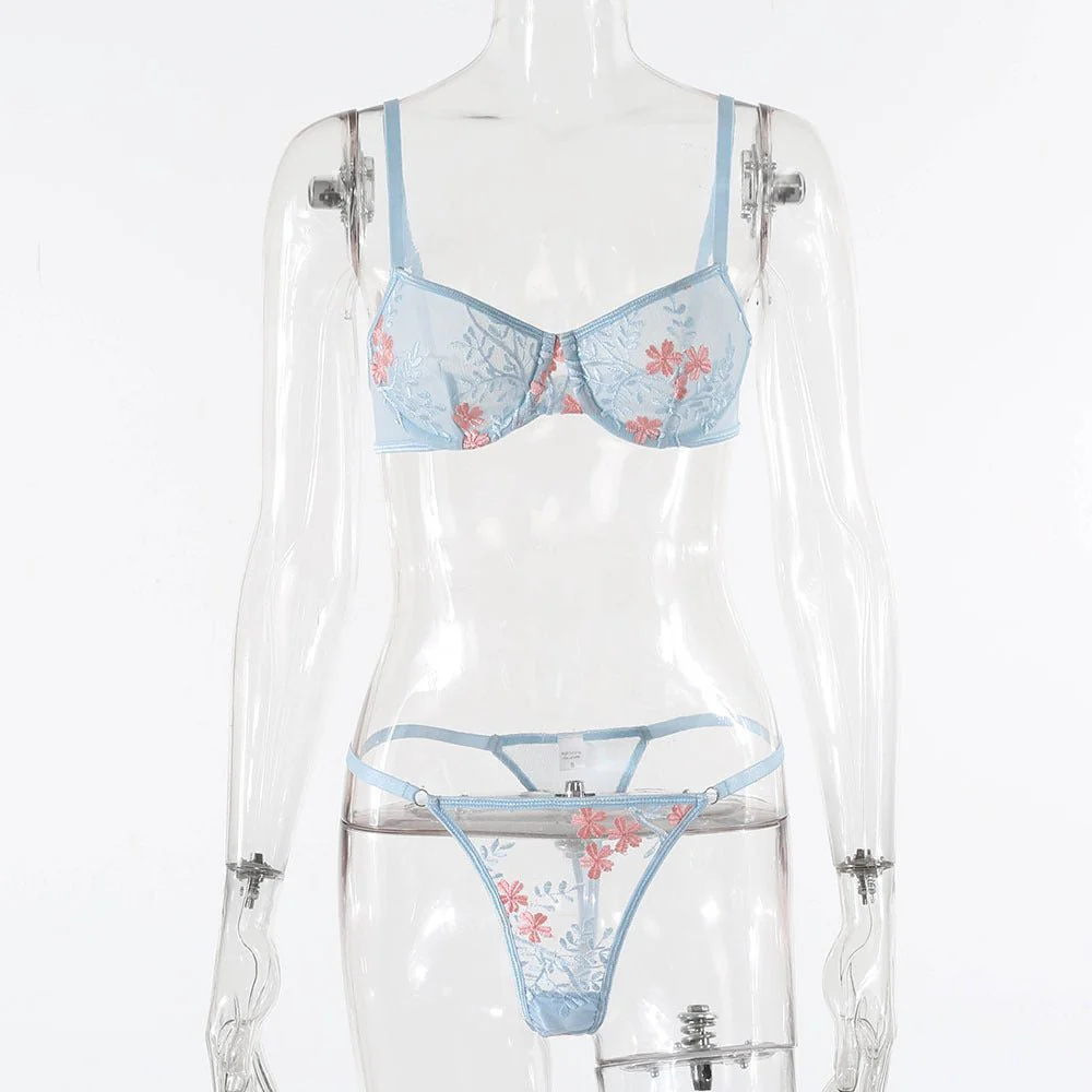 The Dreamy Breeze | Transparent Mesh Two-Piece Underwear Set - Image 12